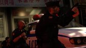 Real Beta Cops